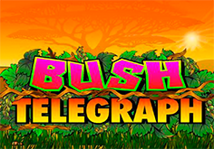 Bush Telegraph Slot